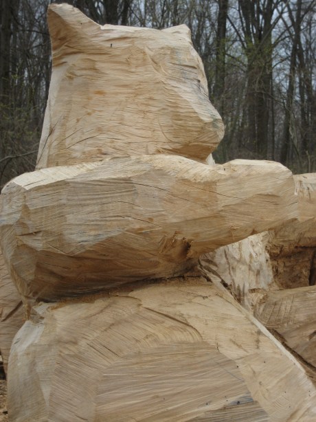 © 2012 S. D. Stewart, Oregon Ridge