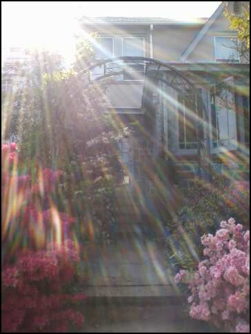 arbor © 2012 S. D. Stewart, Arbor in front yard