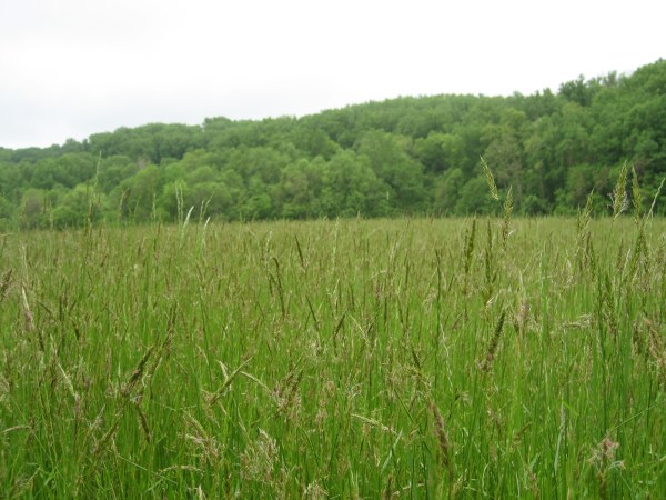 IMG_1348 © 2012 S. D. Stewart, Susquehanna State Park, Havre de Grace, Maryland
