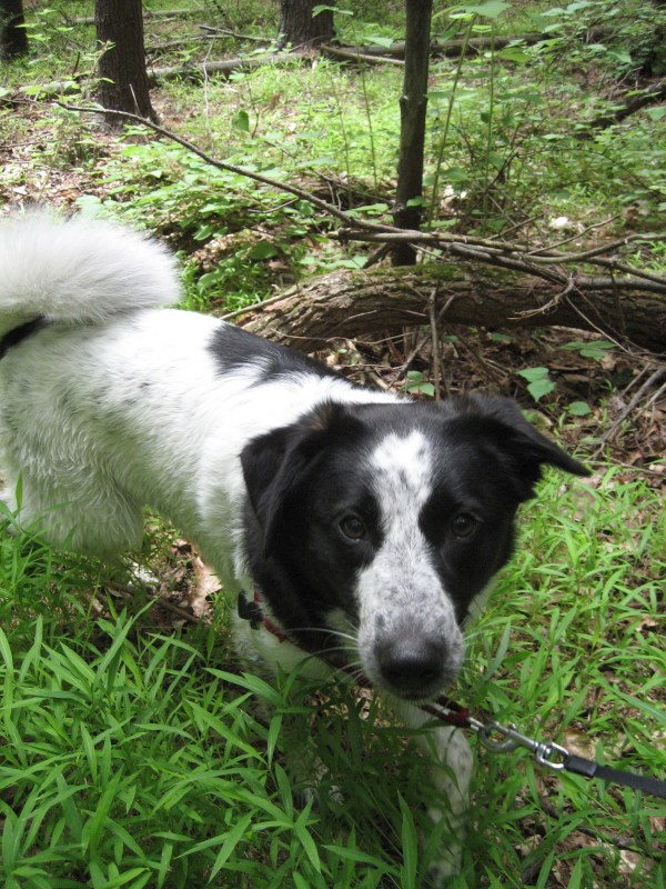 Farley © 2012 S. D. Stewart