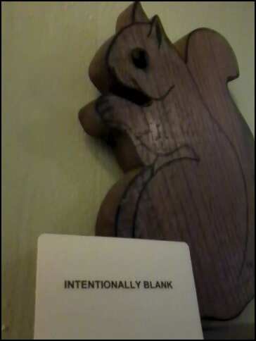 intentionally blank