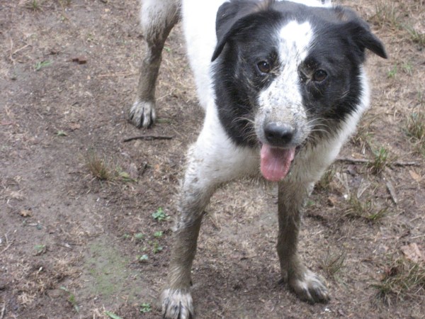 © 2012 S. D. Stewart