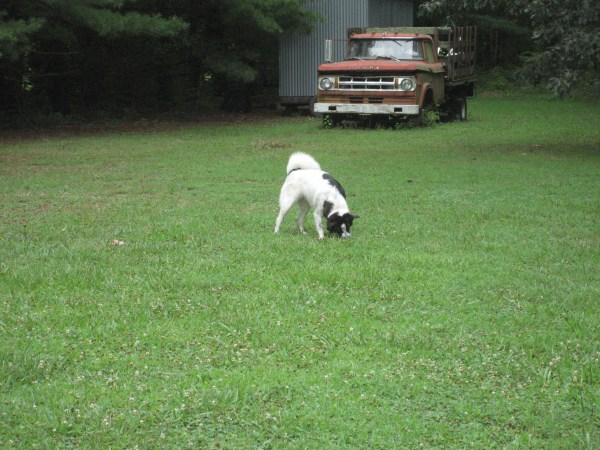 © 2012 S. D. Stewart