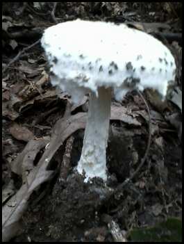 © 2012 S. D. Stewart