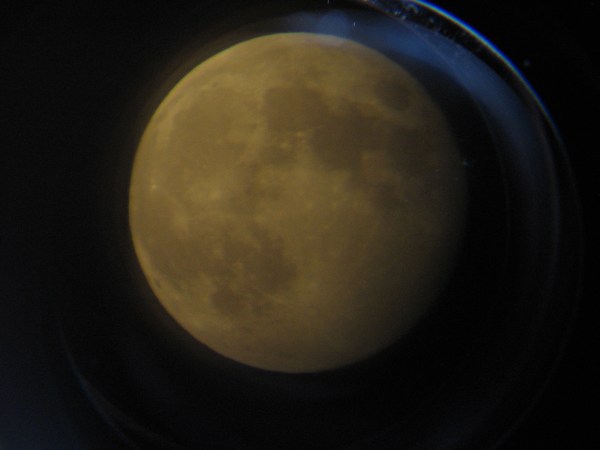 IMG_1461 © 2012 S. D. Stewart, Blue moon