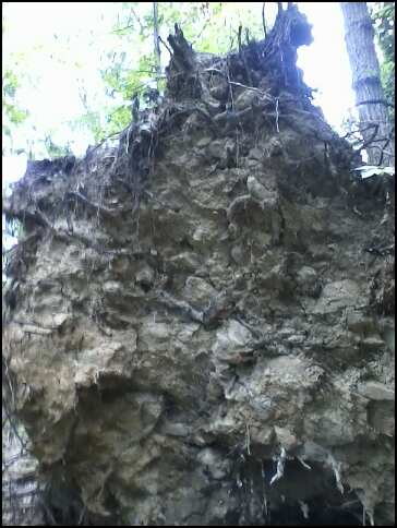 © 2012 S. D. Stewart