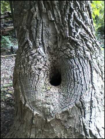 © 2012 S. D. Stewart