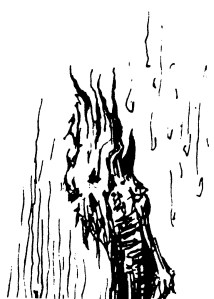 © Christopher Roberts