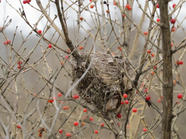 © 2015 S. D. Stewart