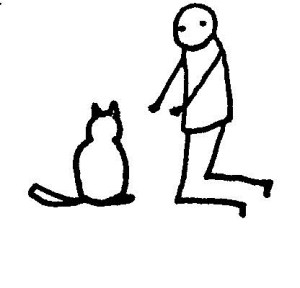 Cat and human © S. D. Stewart